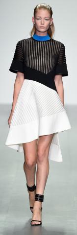 David_Koma_SS15_Look_10.jpg