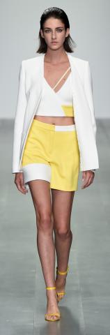 David_Koma_SS15_Look_3.jpg