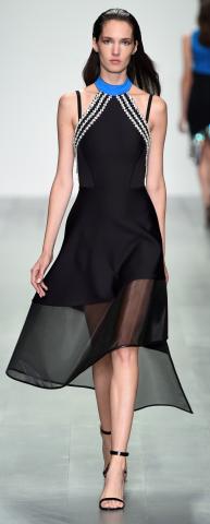 David_Koma_SS15_Look_31.jpg