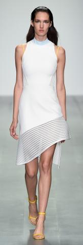 David_Koma_SS15_Look_5.jpg