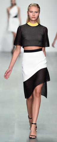 David_Koma_SS15_Look_8.jpg