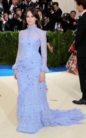 Met_17_Felicity_Jones_Erdem_Getty.jpeg